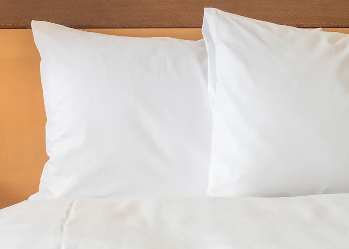 Holiday Inn Charlotte University By Ihg